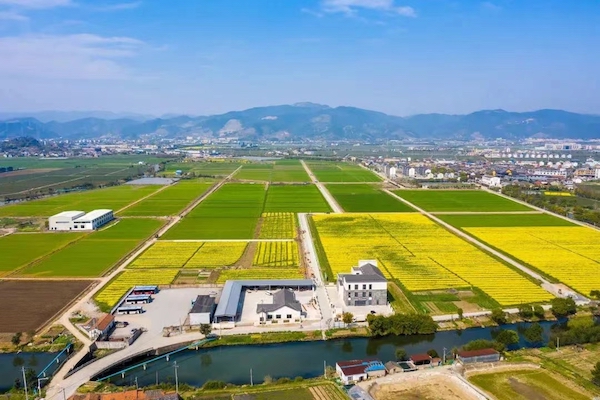 高標(biāo)準(zhǔn)農(nóng)田典型案例集錦丨“豐景”，在希望的田野