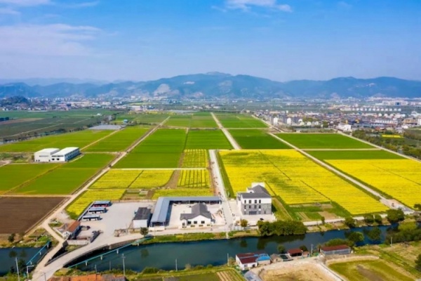 托普云農(nóng)高標(biāo)準(zhǔn)農(nóng)田建設(shè)答卷：用實(shí)踐書(shū)寫政策新篇